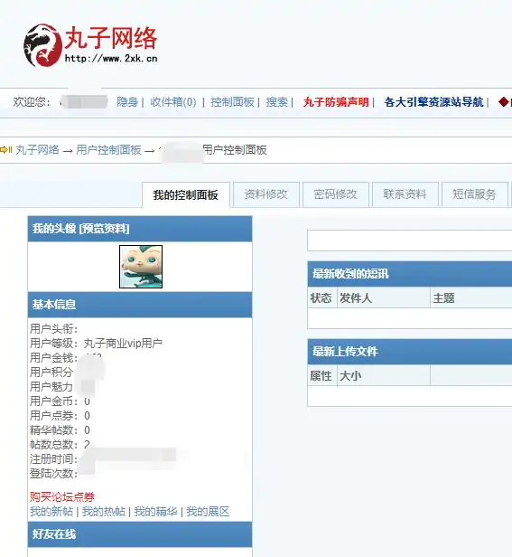 丸子网络