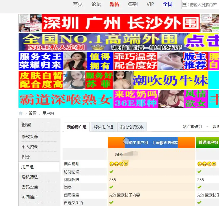 犬马之家