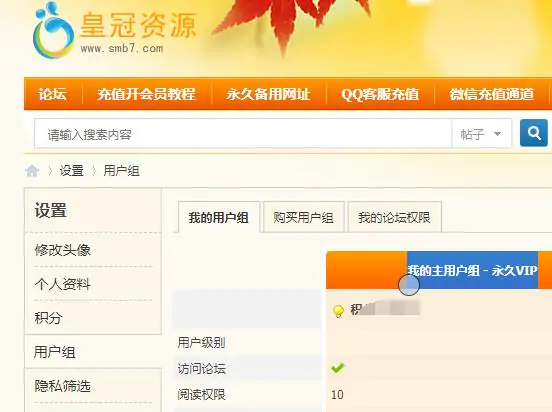 皇冠资源