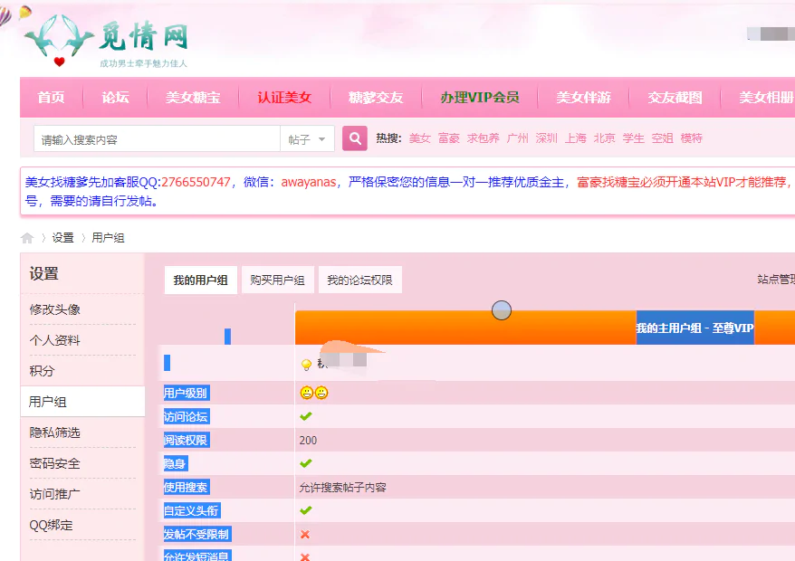 觅情网