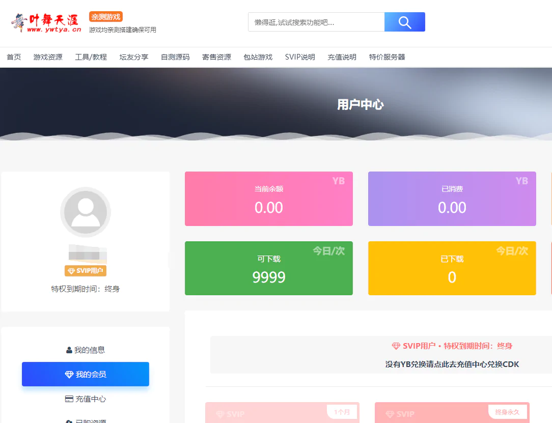 叶舞天涯